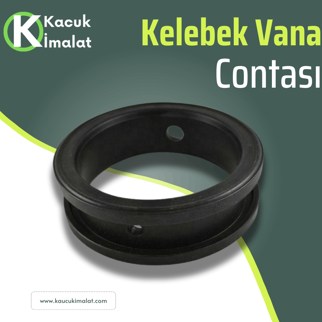 Butterfly Valve Gasket